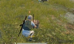 吃瓜者的视频,一场视觉盛宴背后的故事