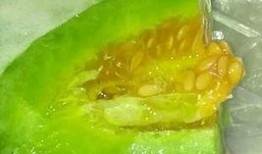 吃瓜大百科,揭秘娱乐圈幕后真相与趣味故事