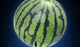 在线坐等吃瓜,揭秘网络热议背后的真相