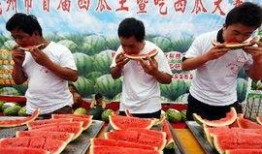 安徽职教园吃瓜,揭秘校园里的“吃瓜”趣事