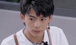 圈内吃黄晓明的瓜,娱乐圈风云再起，揭秘明星背后的秘密瓜