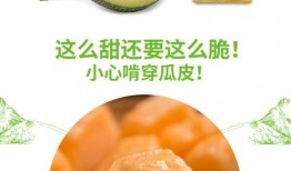蜜瓜的嫩瓜怎么吃,蜜瓜嫩瓜的多样美味食用指南