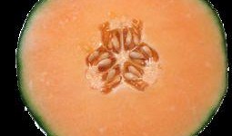 孩子发烧可以吃哈密瓜吗,哈密瓜适宜食用吗？