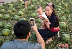 潍坊峡山吃瓜群众,夏日吃瓜群众的欢乐盛宴