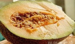 吃牛肉后吃哈密瓜