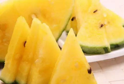 吃瓜头像哪个好