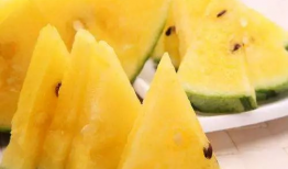 吃瓜头像哪个好