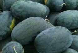 欣杰同学吃瓜,揭秘校园里的那些“瓜”