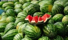 吃瓜圈vIog,带你领略短视频时代的趣味生活