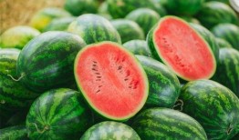 画人吃瓜的视频,短视频捕捉吃瓜人群欢乐瞬间