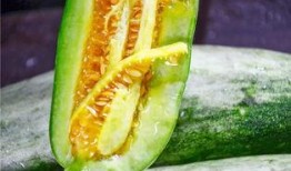 网红mack吃瓜,揭秘娱乐圈幕后真相