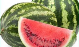 痛风可吃梨瓜,梨瓜助力健康生活