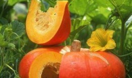 吃瓜大白系统,网络舆论场的新宠儿