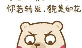 吃白瓜幽默笑话,一场关于夏日清凉的欢乐盛宴