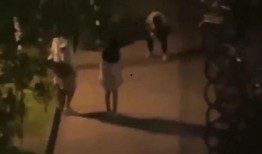 吃瓜视频爆料男女,男女生惊人内幕，真相令人震惊！