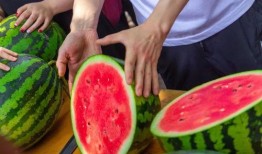 女大学吃瓜,女大学生校园吃瓜风云录