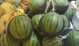 西瓜一瓜两吃,创意料理新风尚