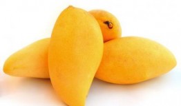 新冠吃白兰瓜,白兰瓜助力康复之旅