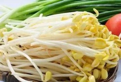 会吃瓜的豆芽,揭秘网络红人的趣味生活