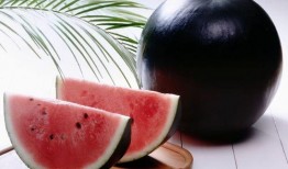 吃瓜会说话的西瓜,揭秘“吃瓜群众”背后的西瓜奥秘