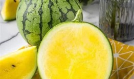 国产吃瓜欧美原创,原创内容引领潮流