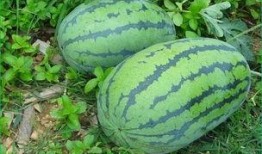 我月经痛吃瓜,吃瓜也能缓解不适，快来试试吧！