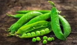 每日吃瓜得豆,揭秘吃瓜得豆的奇妙之旅