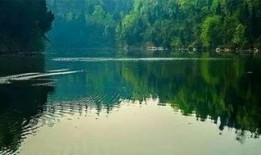 青云湖吃瓜,吃瓜群众的热议焦点