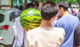 在大学上班吃瓜,上班族的闲聊时光