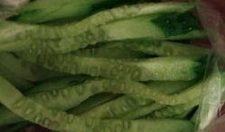 gua吃瓜头像,gua吃瓜头像，潮流与趣味并存