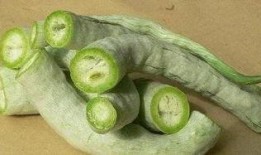 羊吃蛇瓜,探寻羊吃蛇瓜的神秘传说