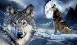 官狼吃瓜圈,揭秘娱乐圈幕后风云