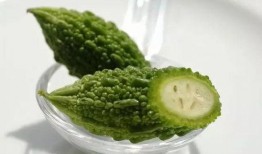 呆瓜苦瓜吃西瓜,一场夏日味蕾的奇幻之旅