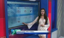 情感主播连线吃瓜,揭秘娱乐圈幕后故事