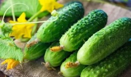 安达尔鼓吃瓜,揭秘网络热点的背后故事