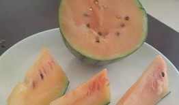 同样是吃瓜,揭秘娱乐圈幕后真相