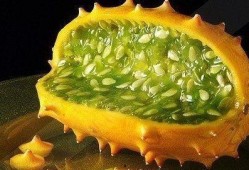 吃奇瓜异果,探寻奇瓜异果的神秘世界