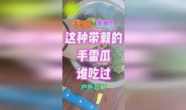 手雷瓜怎么吃,解锁美味新体验