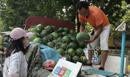 济宁菏泽吃瓜,品味地方特色，畅享清凉一夏