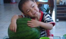 吃瓜大表弟,娱乐圈幕后风云录