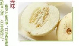 沭阳吃瓜,探寻当地特色美食之旅