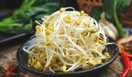 会吃瓜的豆芽,揭秘网络红人的趣味生活