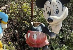 米奇吃瓜头像,趣味横生，揭秘网红头像背后的故事