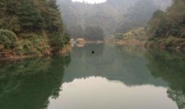 青云湖吃瓜,吃瓜群众的热议焦点