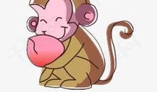 猴猴吃瓜图片,趣味横生瞬间捕捉