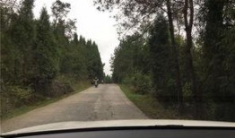 自驾游吃瓜群众,一路欢声笑语，共享美食时光