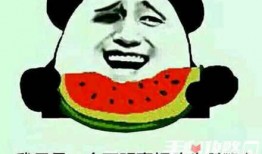 吃瓜搞笑梗,盘点那些让人捧腹大笑的吃瓜梗