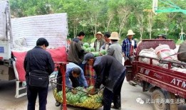 顺平吃瓜群众事件始末,一场网络舆论的风暴与反思