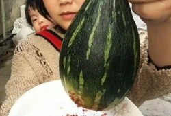 吃整瓜,尽享整瓜美味之旅