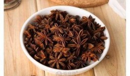 吃瓜大料温琴,温琴背后的故事与真相